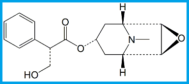 HYOSCYAMINE EP IMPURITY D / HYOSCINE/SCOPOLAMINE